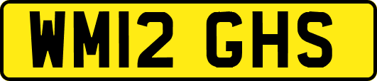 WM12GHS