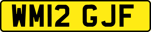 WM12GJF