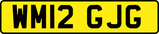 WM12GJG