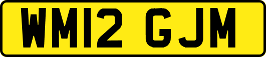 WM12GJM