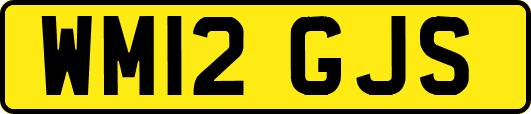WM12GJS