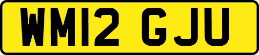 WM12GJU