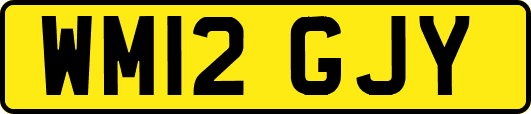WM12GJY