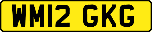 WM12GKG
