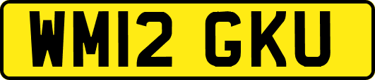 WM12GKU