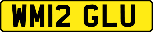 WM12GLU