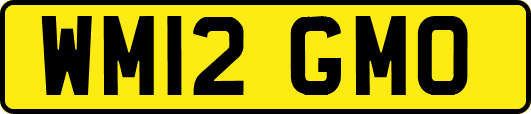 WM12GMO