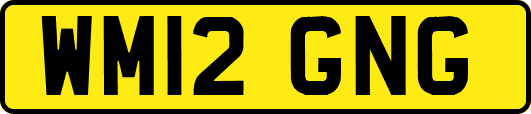 WM12GNG