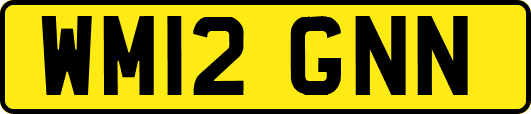 WM12GNN