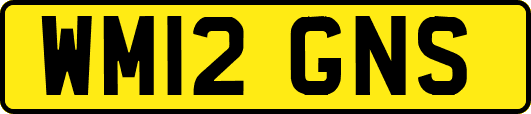 WM12GNS