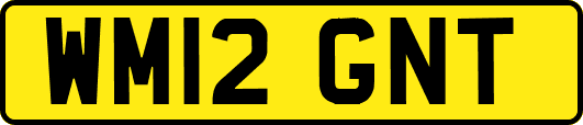 WM12GNT