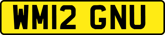 WM12GNU