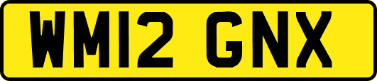 WM12GNX