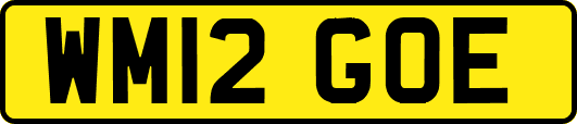 WM12GOE
