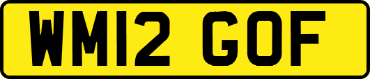 WM12GOF