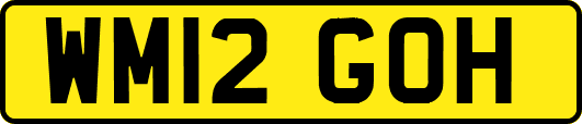 WM12GOH