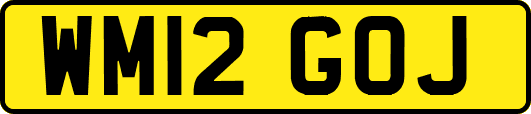 WM12GOJ