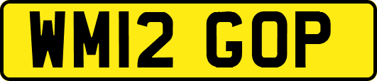 WM12GOP