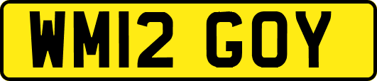 WM12GOY