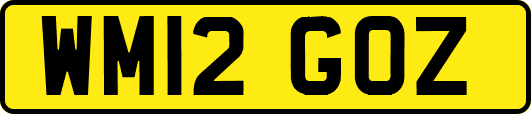 WM12GOZ