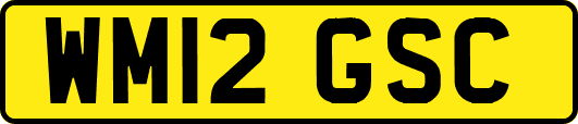 WM12GSC
