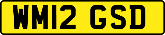 WM12GSD