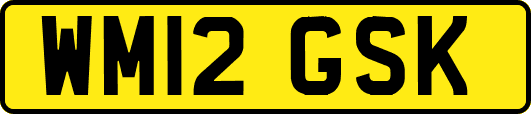 WM12GSK