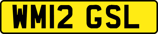 WM12GSL