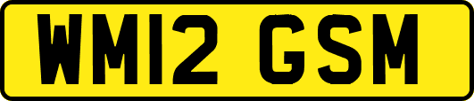 WM12GSM