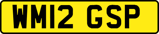 WM12GSP