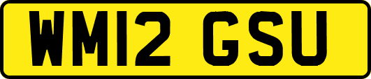 WM12GSU