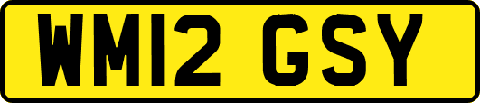 WM12GSY