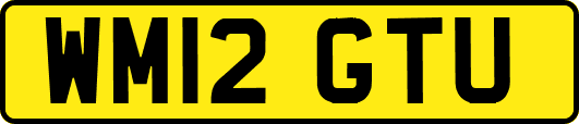 WM12GTU