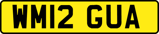 WM12GUA