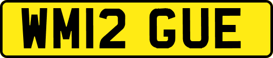 WM12GUE