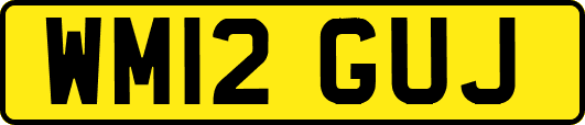 WM12GUJ