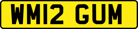 WM12GUM