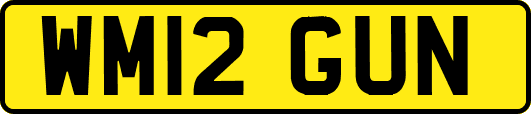 WM12GUN