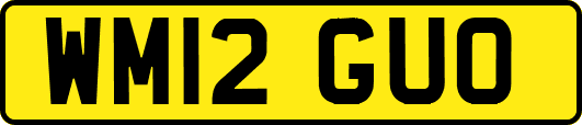 WM12GUO