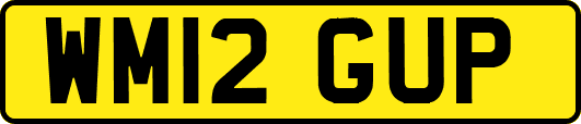 WM12GUP