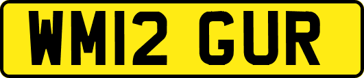 WM12GUR