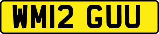 WM12GUU