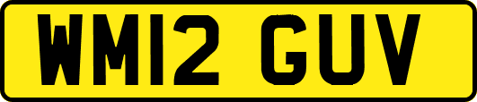 WM12GUV