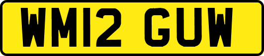 WM12GUW