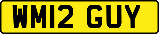 WM12GUY