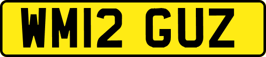 WM12GUZ