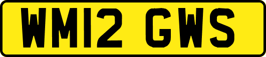 WM12GWS