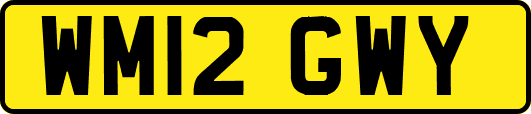 WM12GWY