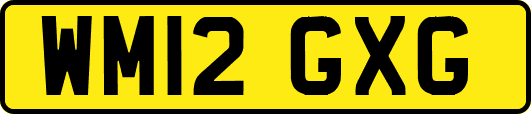 WM12GXG