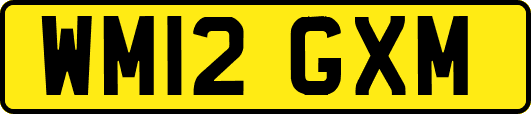 WM12GXM